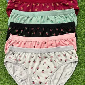 PACK OF 3 PRINTED PURE COTTON BRIEFS FOR WOMENS/GIRLS FOR EVERYDAY USE PANTYS COMFORTABLE MULTICOLOUR PANTYS