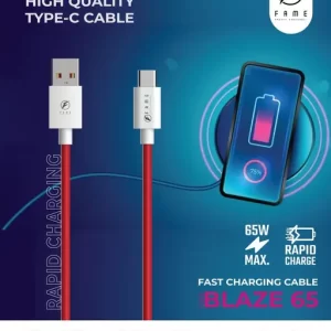 FAME BLAZE 65 High Quality Type C Cable