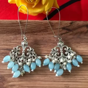 Silver toned Earrings