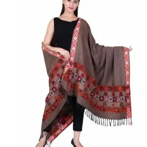 Attractive Women Multicolor Wool Shawls kinori coffee