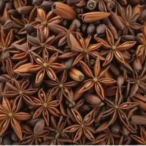 JNKB PURE Anise Seed (Chakri Phool) 100gm | Premium Star Anise | Natural Digestive & Immunity Booster | Rich in Antioxidants | Supports Respiratory & Hormonal Health | Badyan Phool