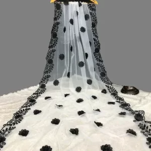 New Fancy Net Dupatta