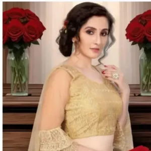 Net full sleeve blouse gold