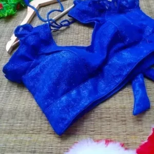 Sayanshop Padded Net stylish blouse