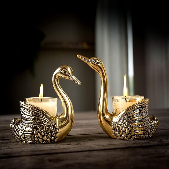 81STvkwblRL._SX679_ Swans