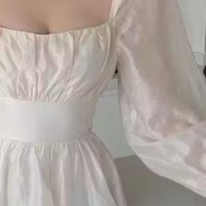 Pretty Fashionista Wome DressClassy Elegant Women Dresses