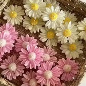 AT COLLECTIONS – Pink_Yellow-Sun-flower Candle Scented Soy Wax Table Decor (6-Pc)Product Details Name : AT COLLECTIONS – Pink_Yellow-Sun-flower Candle Scented Soy Wax Table Decor (6-Pc)  Material : Wax  Product Breadth : 0.5 Inch  Product Height : 0.5 Inch  Product Length : 0.5 Inch  Net Quantity (N) : 6     Country of Origin : India