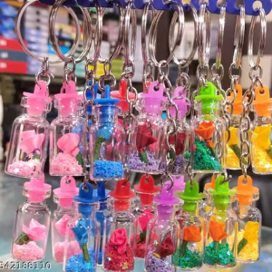 6pc fancy key chains
