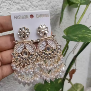 Fancy New Premium Quality Earrings