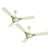 Havells 1200mm Astura Energy Saving Ceiling Fan (Bianco Bronze, Pack of 2)