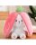 Allepy Rabbit with Chain Reversible Bunny Rabbit Soft Stuffed Toy for Girls Boys Baby Kids | Teddy Bear plushies, Animal Toy | Strawberry/Carrot Shaped | Valentine’s Gift (Pack of 1) (Pink)