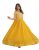 Fashion Basket Georgette Embroidered Anarkali Gown for Women