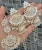 WOMENS TRADITION ERRINGS SET + MANGTIKA FOR WOMENS