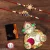 Periapt Multicolor 2 Rakhi Combo With Dish, Silver Color Pooja Coin, Roli Chawal & Greeting Card, Occasion, Stylish Rakhi For Brother, Rakhi With Gift, Handmade Rakhi, Set Of 2 Rakhi (K2_535+536_AA3)