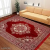 Attractive Carpets