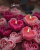 Spire Rosy Glow Heart Peony Soy Wax Candles – Romantic Scented Set ||#candles
