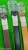Pin Point Buckle Belts